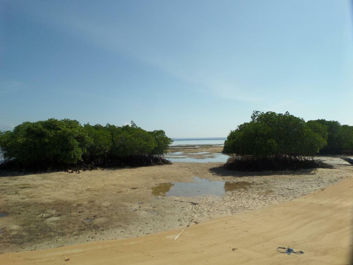 Mangrove Paradise Retreat Lembongan Zewnętrze zdjęcie